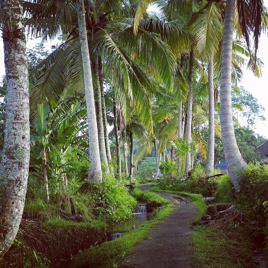 11 On Kajeng Hotel Ubud Kültér fotó